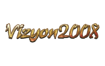 Vizyon2008